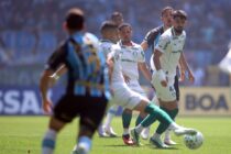 CAMPEONATO BRASILEIRO FUTEBOL 2026- GRÊMIO-RS-RS x PALMEIRAS-SP